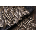 New Crop High Quality Sunflower Seeds