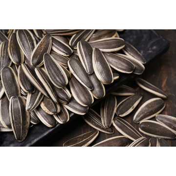 100% Raw sunflower seeds 361/363