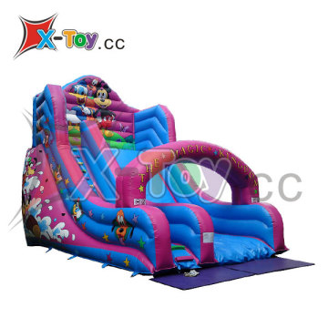 Giant Inflatable Water Slide (CH-HT301)