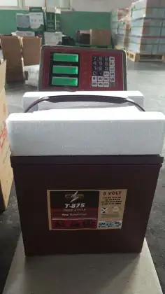 Trojan T875 8V170AH Golf Cart Electric Battery