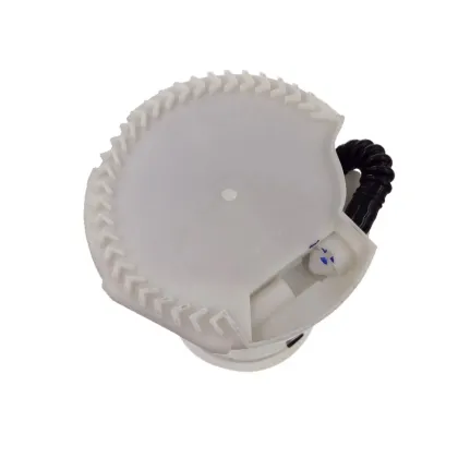 Auto Engine Spare Parts: Electronic Petrol Fuel Pump Assembly for Roewe Models