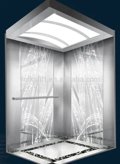 Volkslift big cabin eare elevator lift passenger