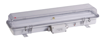 Marine LED Tube Pendant Light