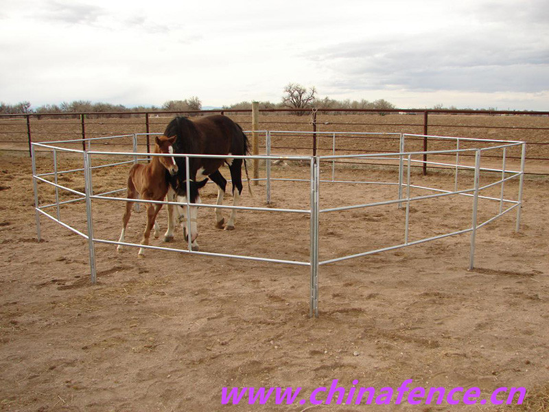 High Quality Horse Fence