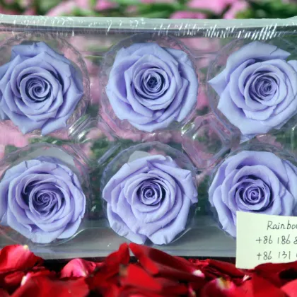 Cheapest Maybelline Eternal Rose Prices All Year for Benchmark Bouquets