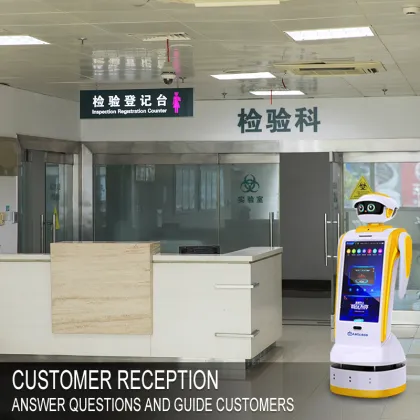 Intelligent Hotel Service: Commercial Reception Robot & VIP Concierge Robot