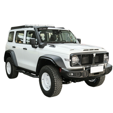 Chinese New Fast Speed SUV: Tank300 Tank400 2.0T 4WD AWD 5-Seater Used Cars