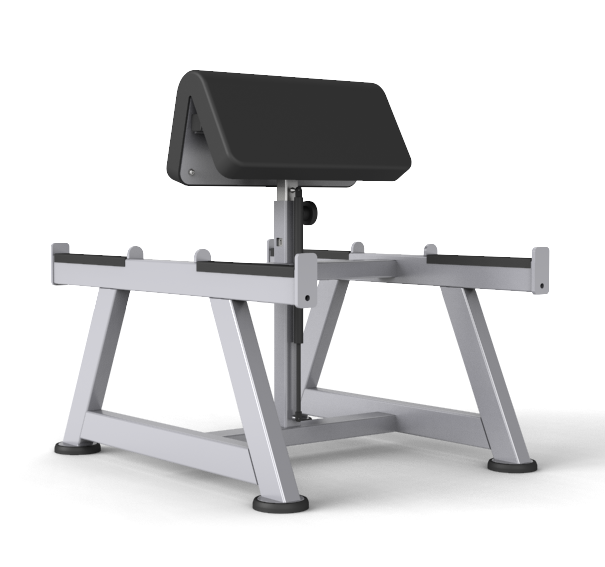 Preacher Curl Bench (stand type)