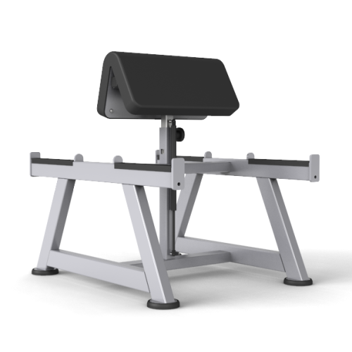 Preacher Curl Bench (stand type)