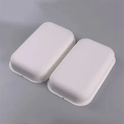 Pulp Molded Bagasse Paper Nuts Kernels Packaging Box