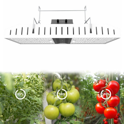 Kvalita 800W LED Grow Light pro vnitřní rostliny