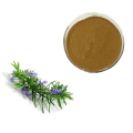 Rosemary Herb Extract Powder 3% Rosmarinic Acid 98%