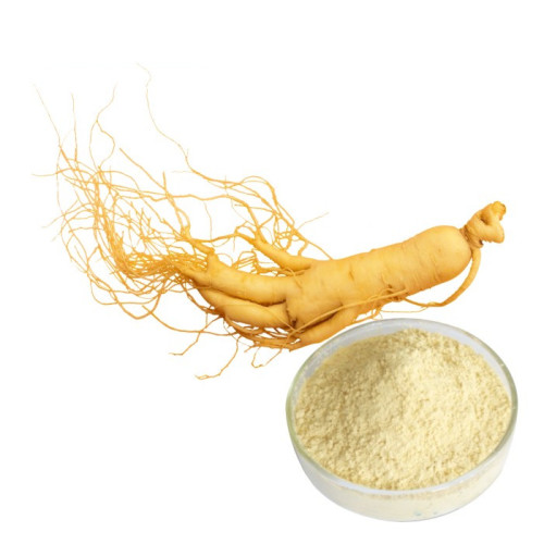 Ginseng Root Extract Powder