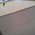 High Mositure Resistance Poplar Material OSB Board