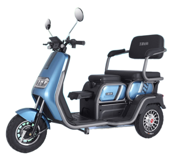 Z1 (Leisure Electric Tricycle)