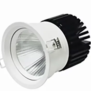 Modern 30W Cut Hole 97mm COB Downlight for Jewelry Showcase