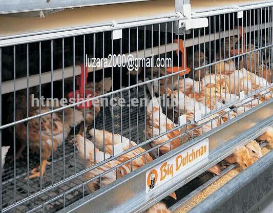 A Type Battery Poultry Chicken Cage for layer hens