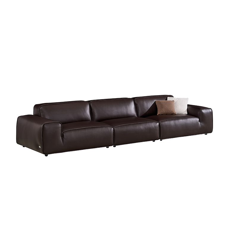 Dacale Dark Brown Leather Sofa - Front View