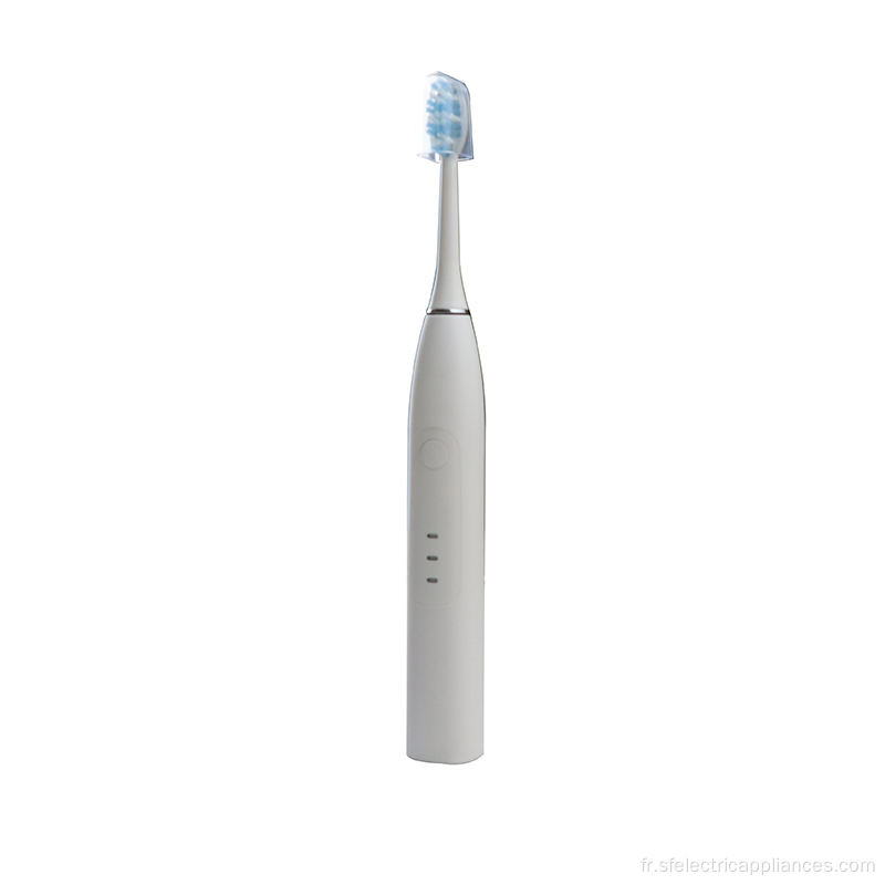 Brosse à dents électrique brosse à dents électrique blanchissante