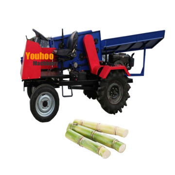 Industrial Sugarcane Processing: Finding the Right Machine for Leaf Shelling and Price Comparison
