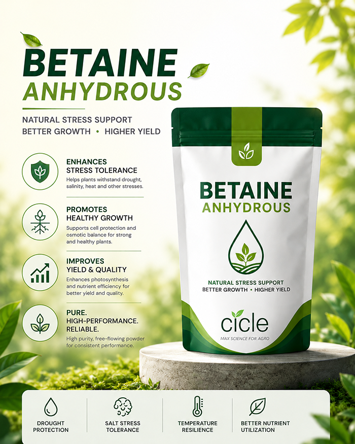 Betaine anhydrous