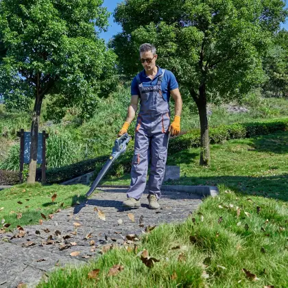 Professional 18V/20V Cordless Echo Blower - Hot Sale & Customizable Options Available