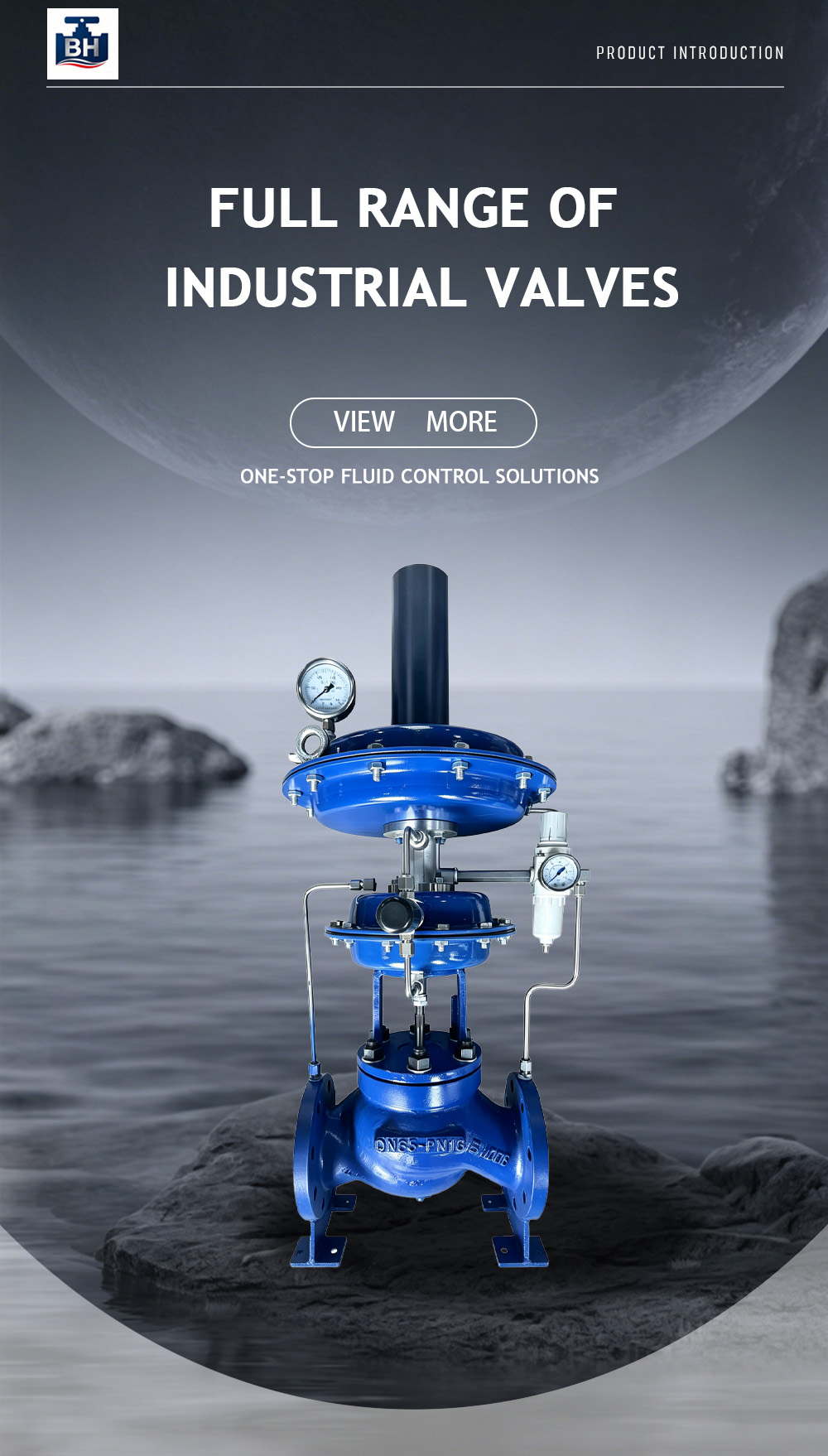 Nitrogen Blanket Valve