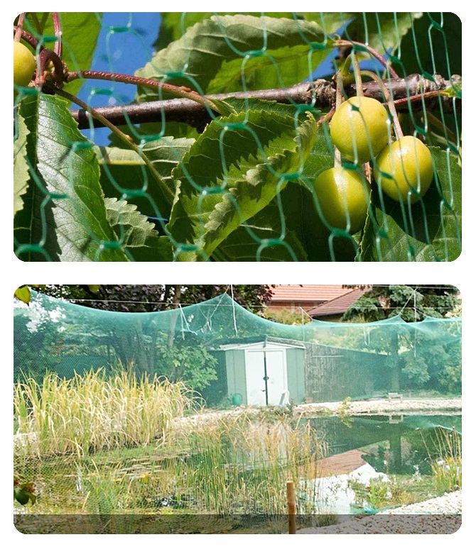 کشاورزی گلخانه ای ضد پرنده