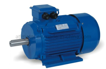 Three Phase Asynchronous Induction Motor (Y2)