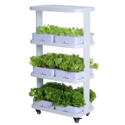 Sun Greenhouse Vertical Plant Hydroponic Grow Systems with LED Lights