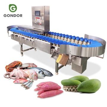 Automatisk rostfritt stål fiskgranatäpple sortering och graderingsmaskin