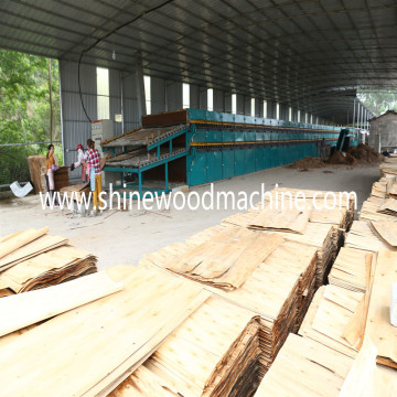Veneer Hot Press Dryer