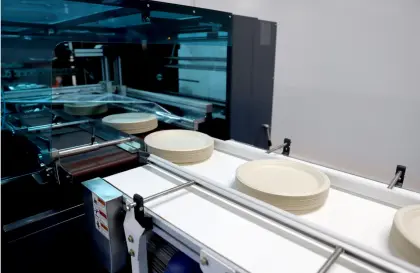 customized green disposable sugarcane tableware compostable bio degradable bagasse paper plate