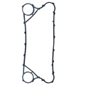 Polaris Phe Gasket S21을 교체하십시오