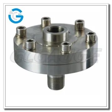 High quality 97 pressure gauge diaphragm seal with threaded connection