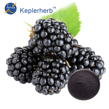 Black Berry Extract Powder