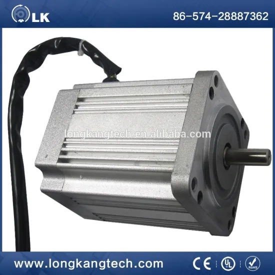 LW-WS80 300W DC Motors