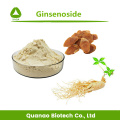 Extracto de raíz de ginseng rojo coreano Ginsenoside 5% en polvo