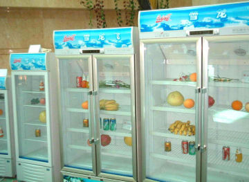 1.3-19mm Decorative Refrigerator Glass