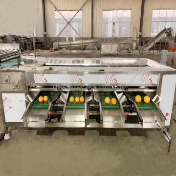 Round Shape Fruit and Vegetable Sorting Machine: Potato, Apple, Garlic, Onion, and Orange Grader