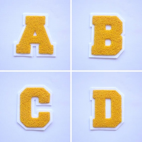 Chenille Felt College geborduurde patches