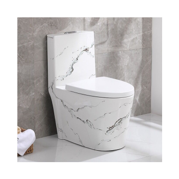 One Piece Siphonic Flushing Floor-Mounted Colored Bathroom Toilet Bowl