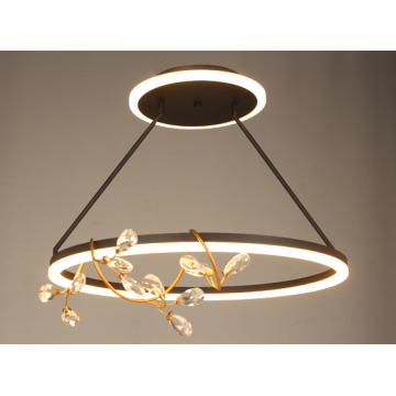 Minimalist Indoor Modern LED Ceiling Lamp
