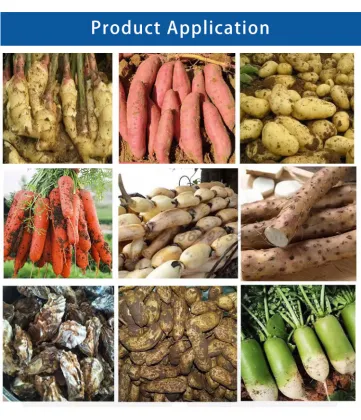 Lotus Root Chinese Herbal Cleaner Restaurant