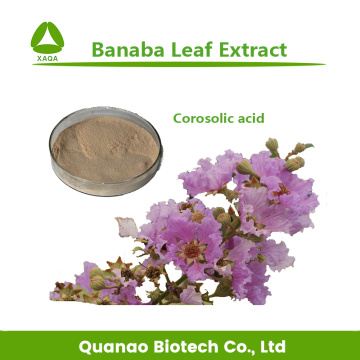 Banaba feuille de feuille d&#39;extrait de poudre acide corosolique 30% 4547-24-4