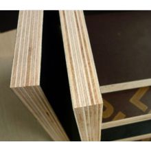 Customized Plywood Film Faced Board