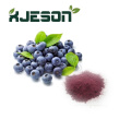 High Quality Blueberry Extract