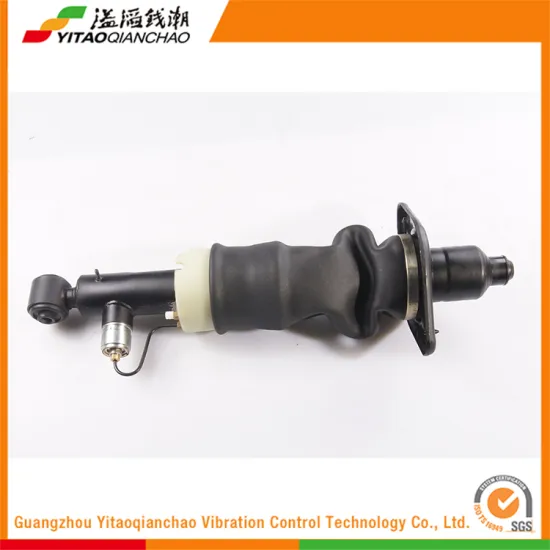 China Wholesale Customized Heavy Rear Shock Absorber
