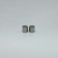 Mini Nickel Disc Rare Earth Neodymium Magnet