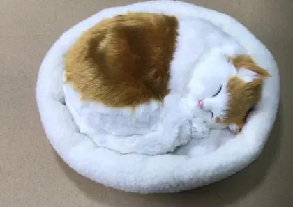 Breathing device Pulsing device Breating simulator